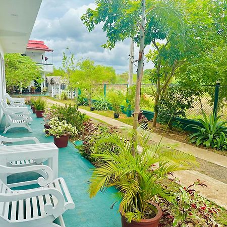 New Peacock Resort Dambulla Kültér fotó