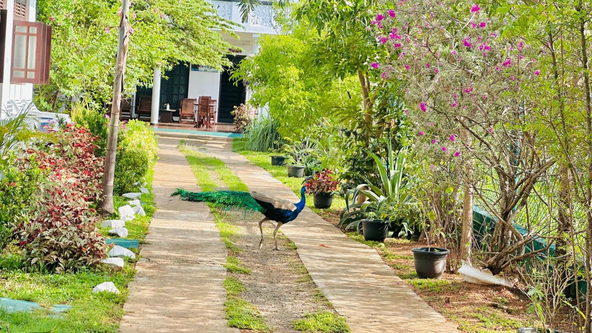New Peacock Resort Dambulla Kültér fotó