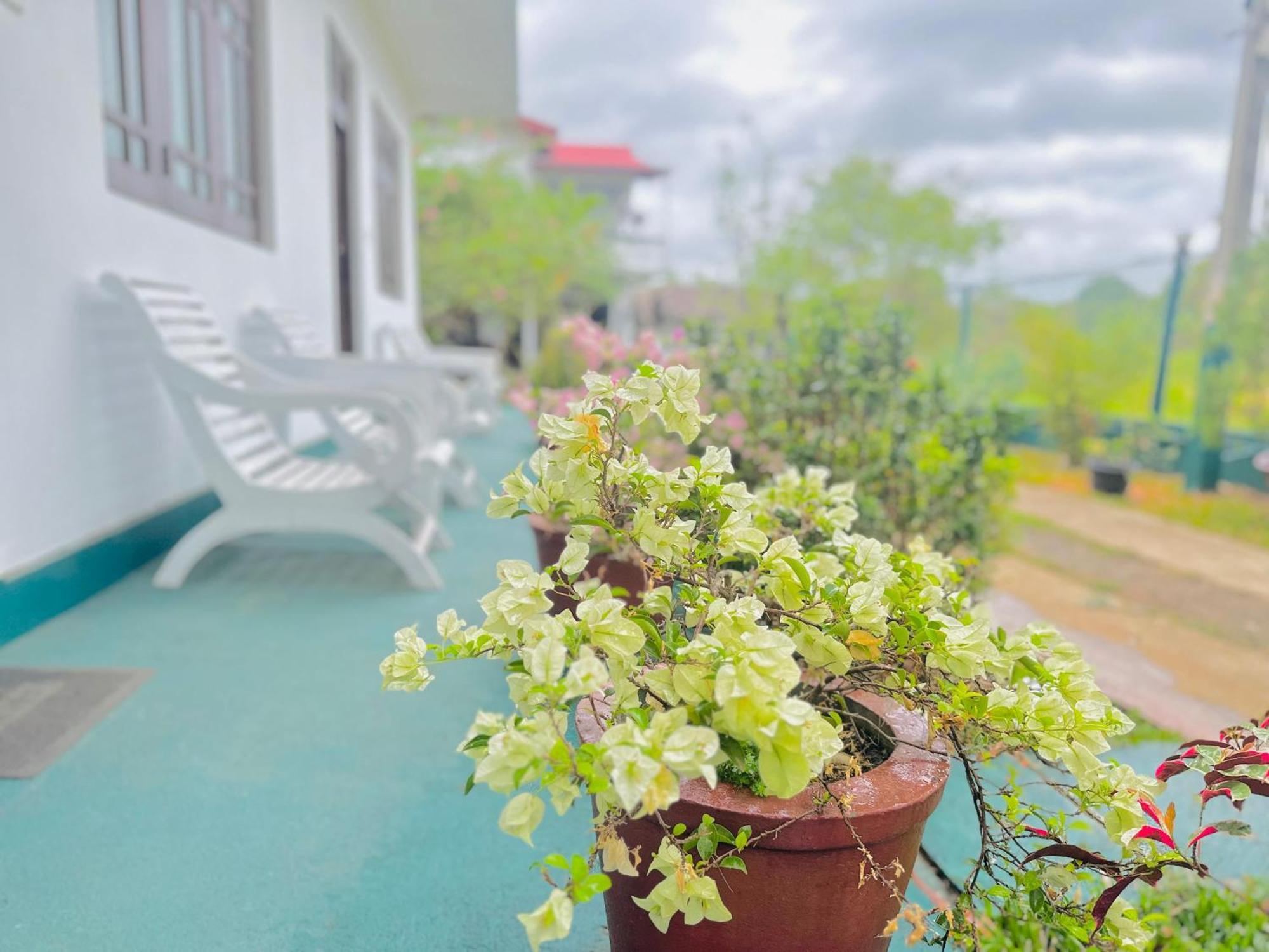 New Peacock Resort Dambulla Kültér fotó