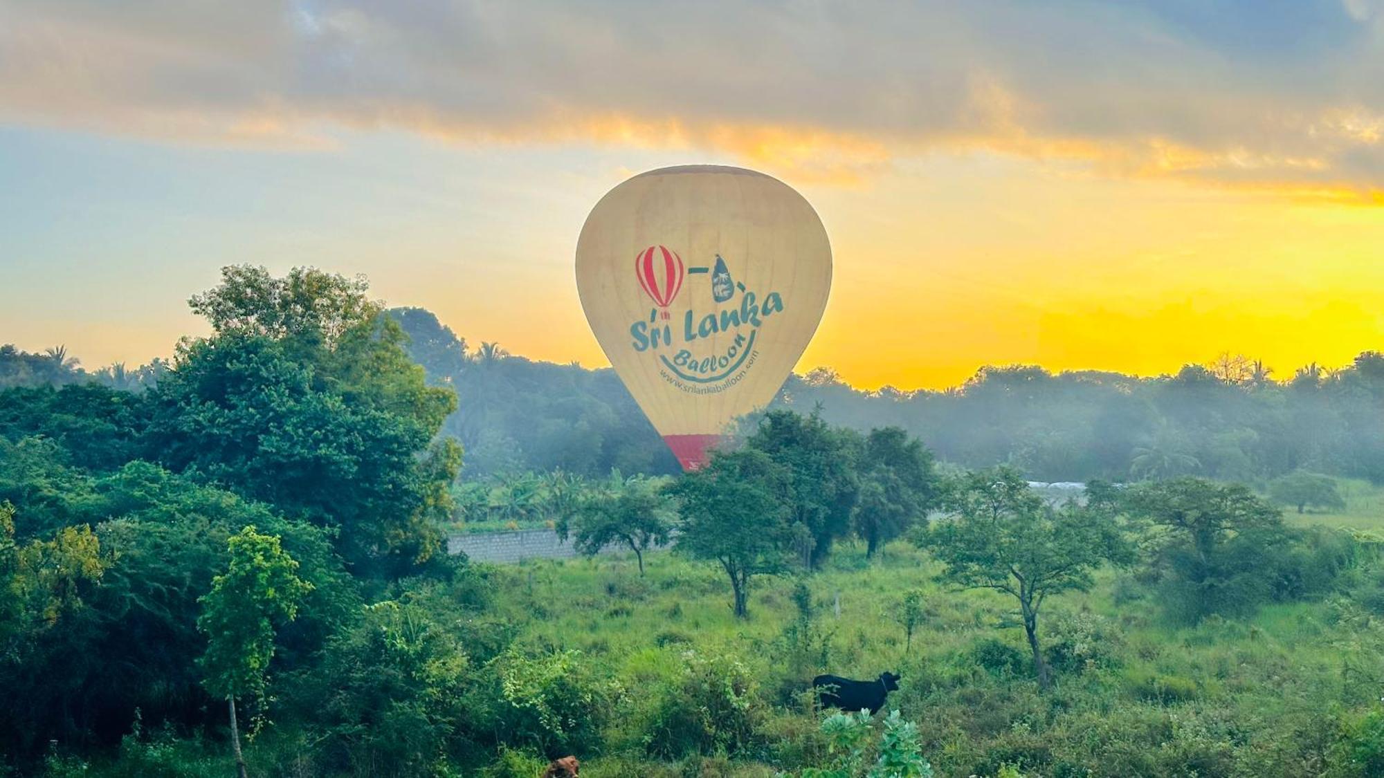 New Peacock Resort Dambulla Kültér fotó